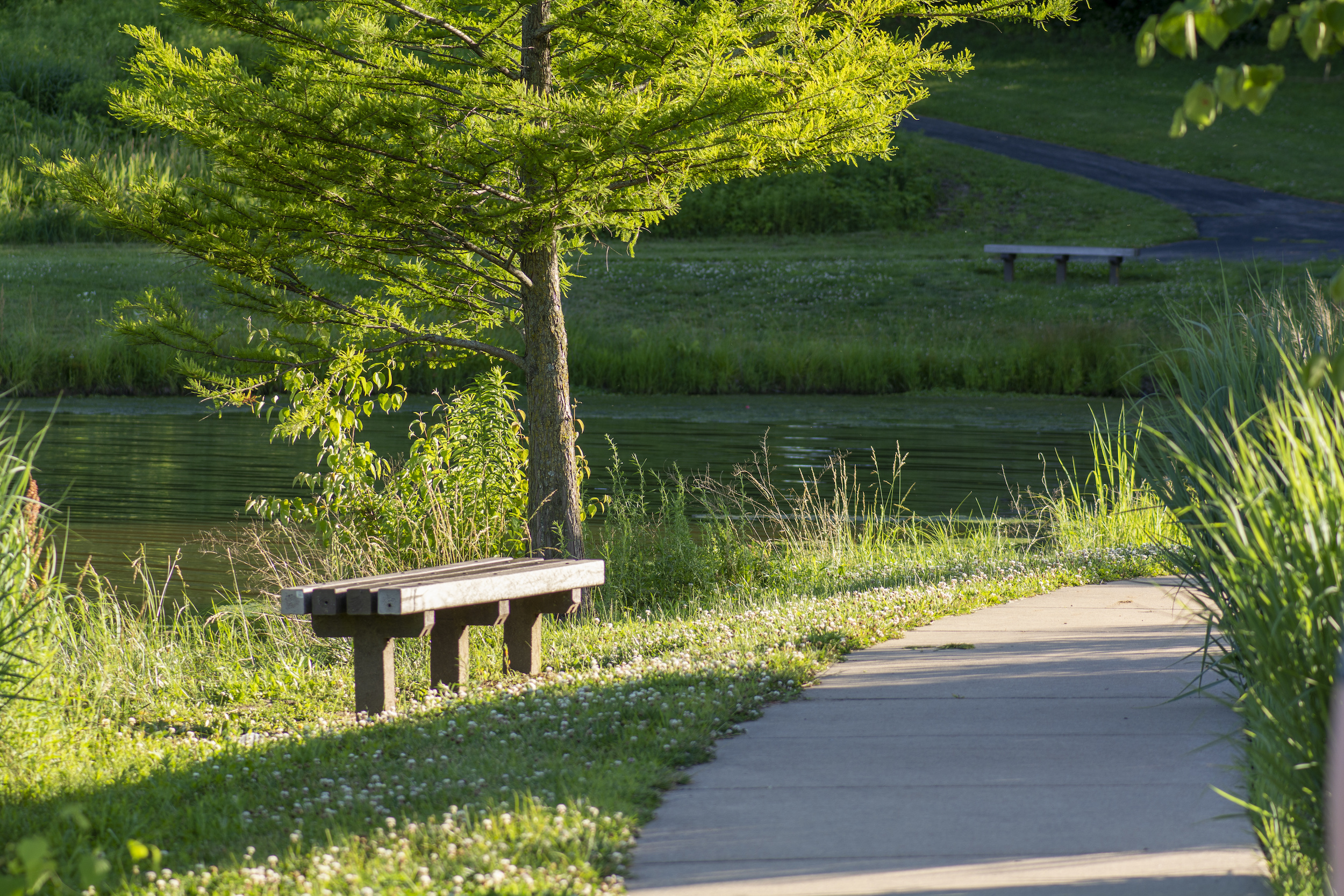 bench at a park