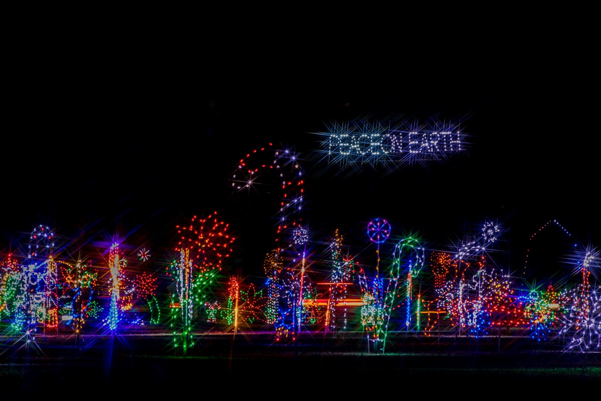 Christmas lights decorations