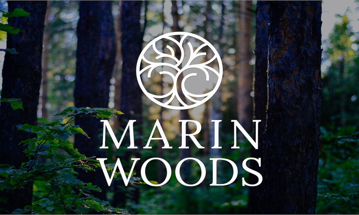 Marin Woods