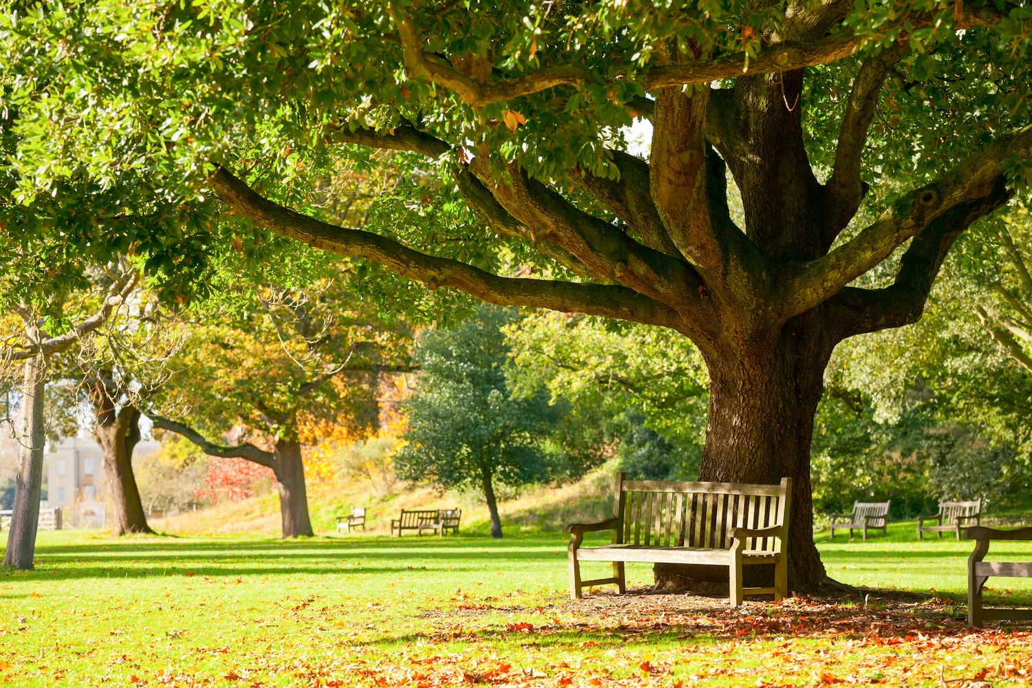 nice park