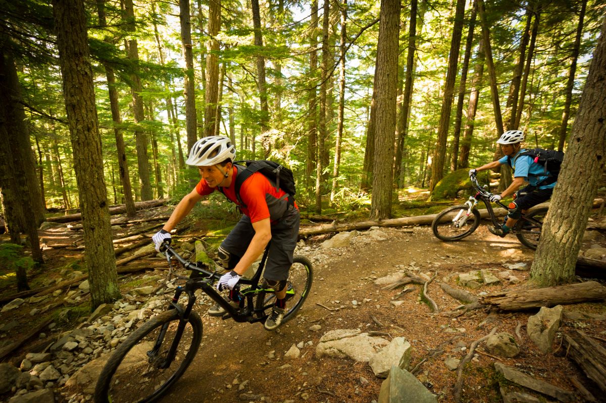 people biking in a forest trail