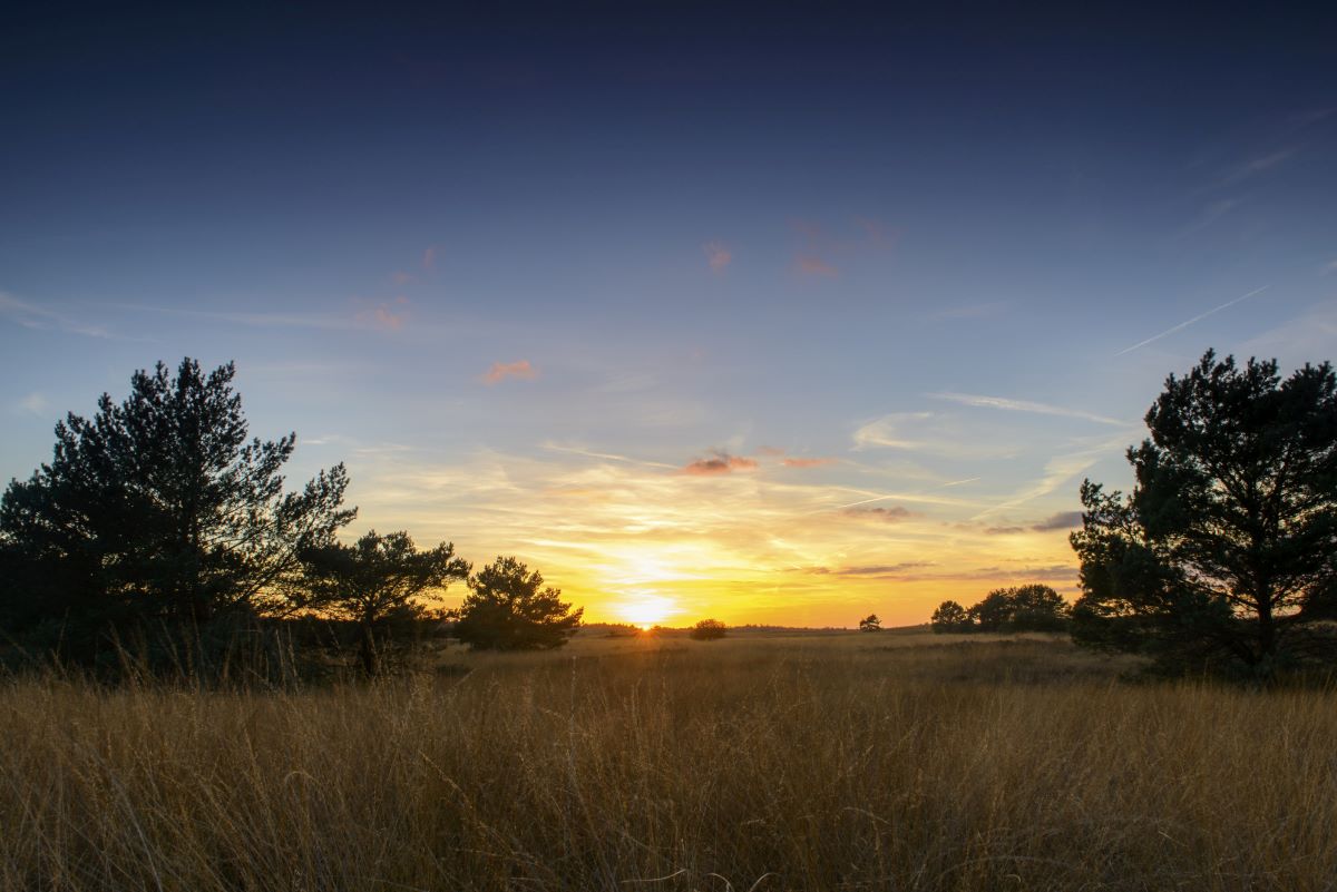 large open lot