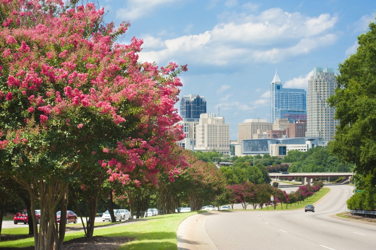 Raleigh downtown view