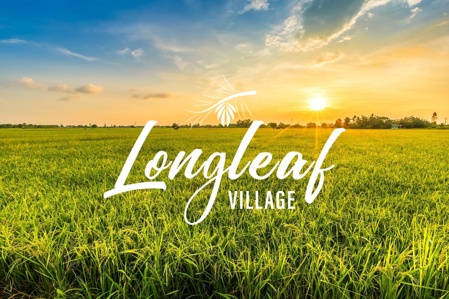 longleaf village