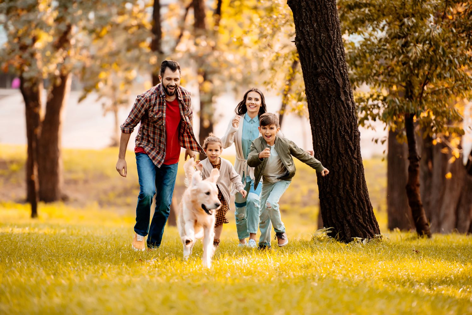 family playing in the park