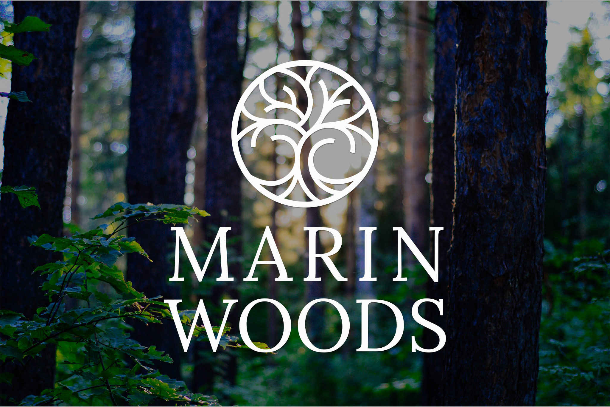 Marin Woods